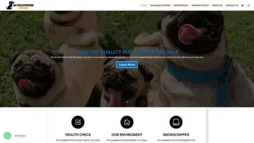 Screenshot of
