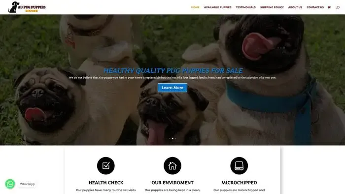 Screenshot of
