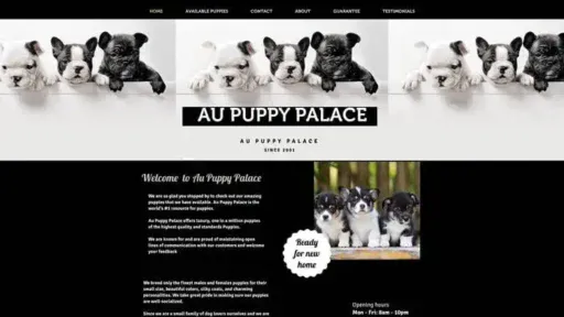 Screenshot of