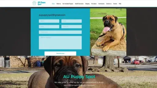 Screenshot of