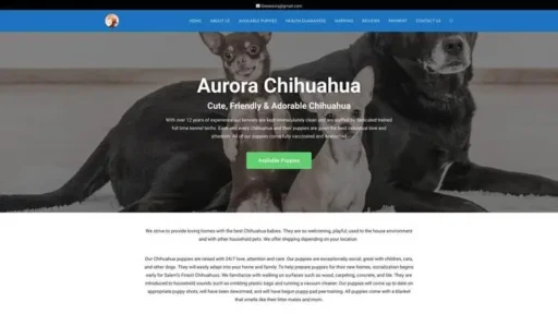 Screenshot of