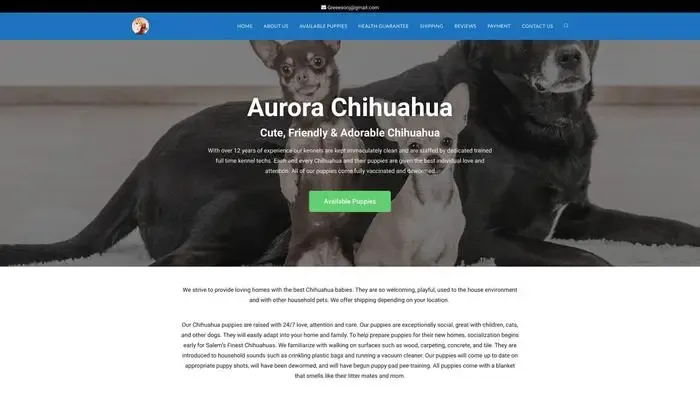 Screenshot of