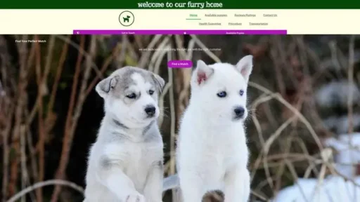 Screenshot of
