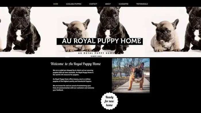 Screenshot of