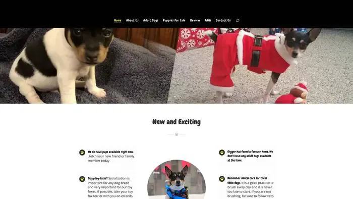 Screenshot of