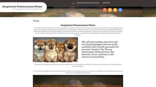 Screenshot of