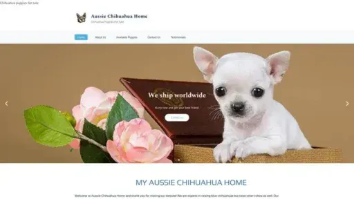 Screenshot of