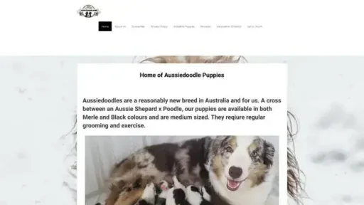 Screenshot of