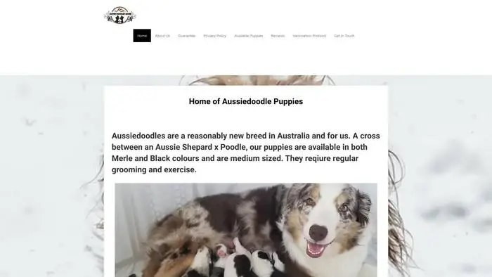 Screenshot of