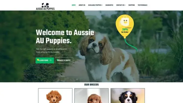 Screenshot of