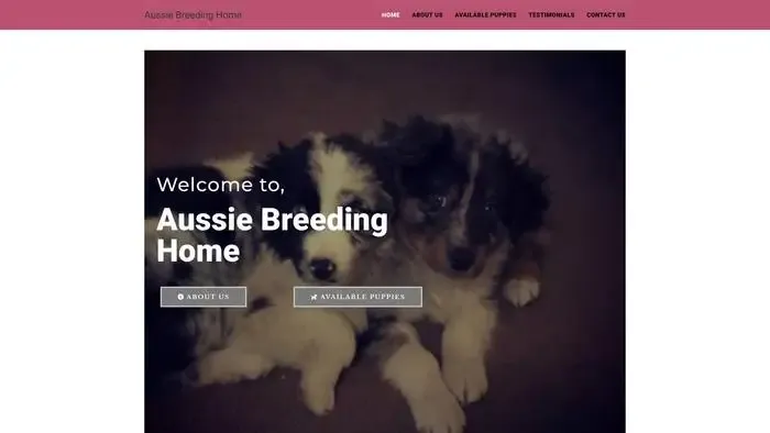 Screenshot of