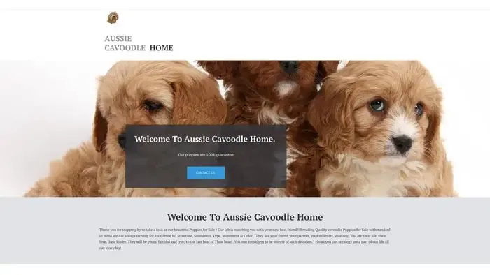 Screenshot of