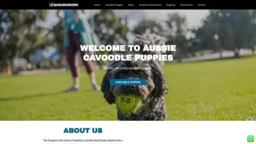 Screenshot of|