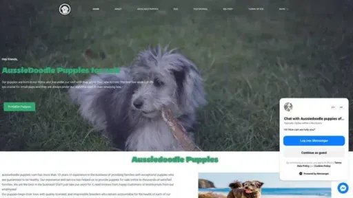 Screenshot of