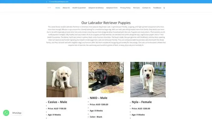 Screenshot of