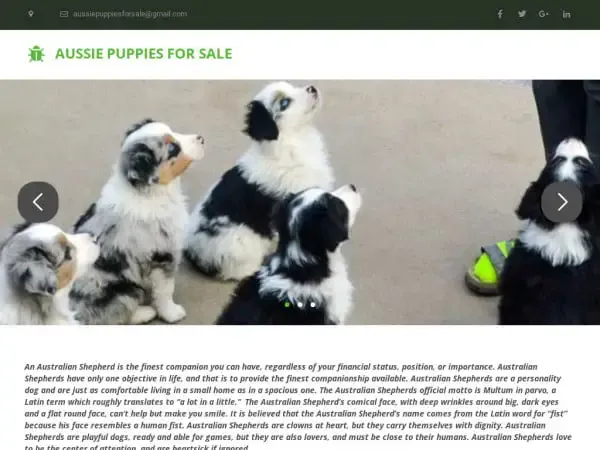 Screenshot of