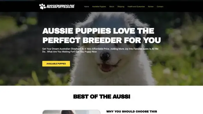Screenshot of