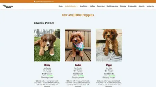 Screenshot of||
