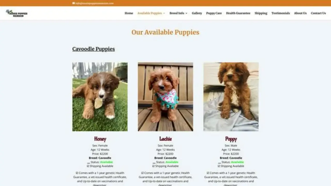 Aussiepuppiesmansion