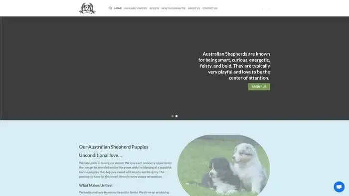 Screenshot of