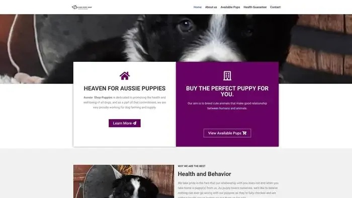 Screenshot of