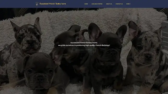 Screenshot of