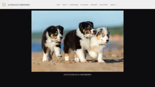 Screenshot of