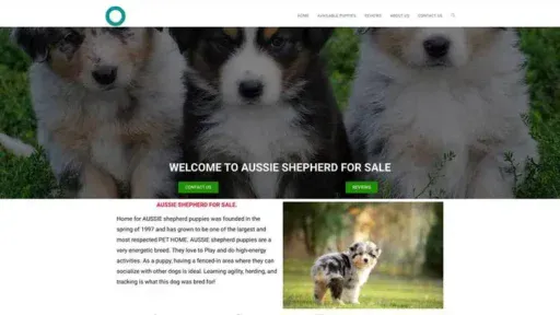 Screenshot of
