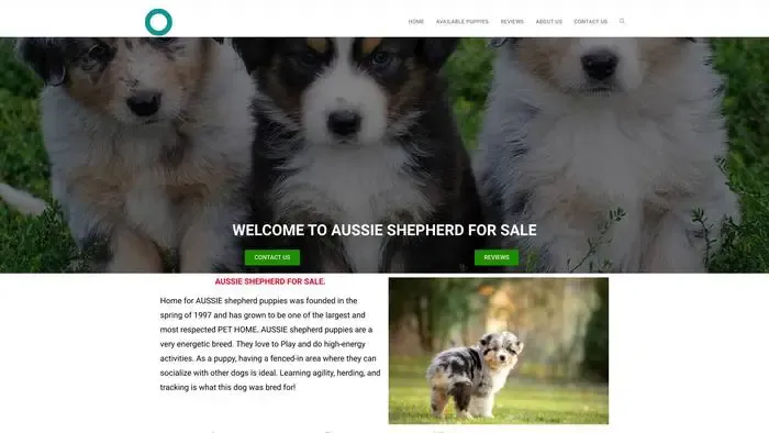 Screenshot of