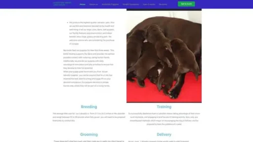 Screenshot of