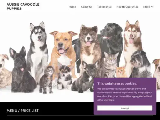 Screenshot of