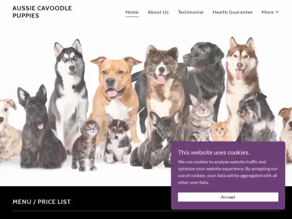 Screenshot of