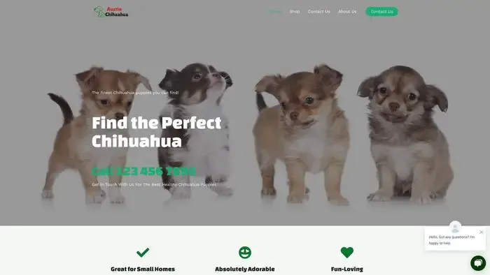 Screenshot of