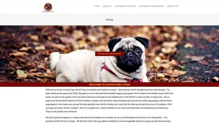 Screenshot of