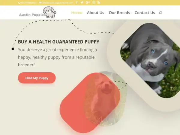 Screenshot of