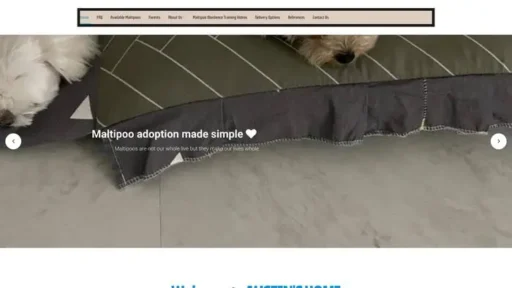 Screenshot of