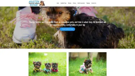 Screenshot of