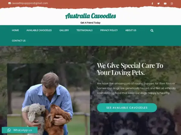 Screenshot of