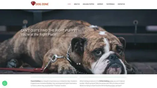 Screenshot of