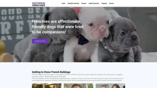 Screenshot of