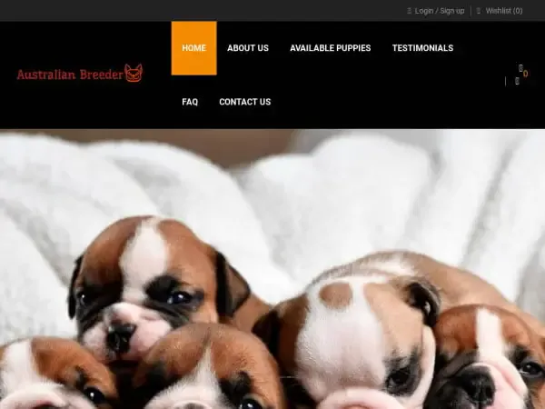 Screenshot of