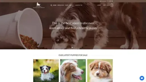 Screenshot of