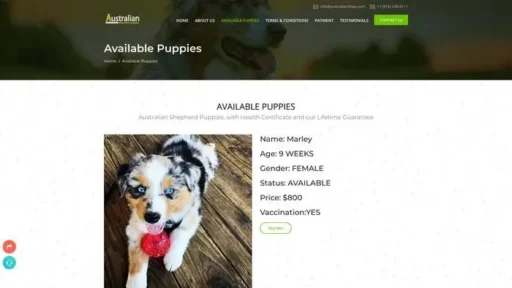 Screenshot of