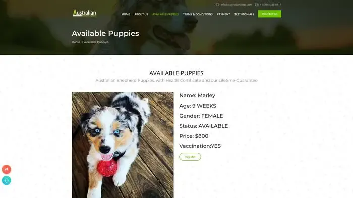Screenshot of
