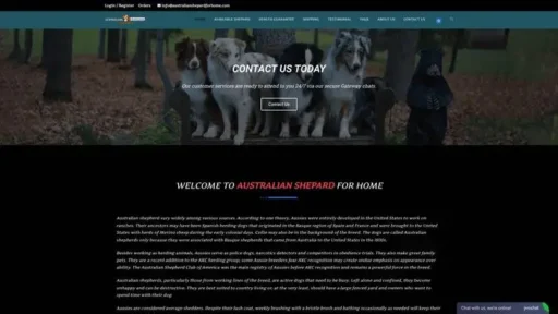 Screenshot of