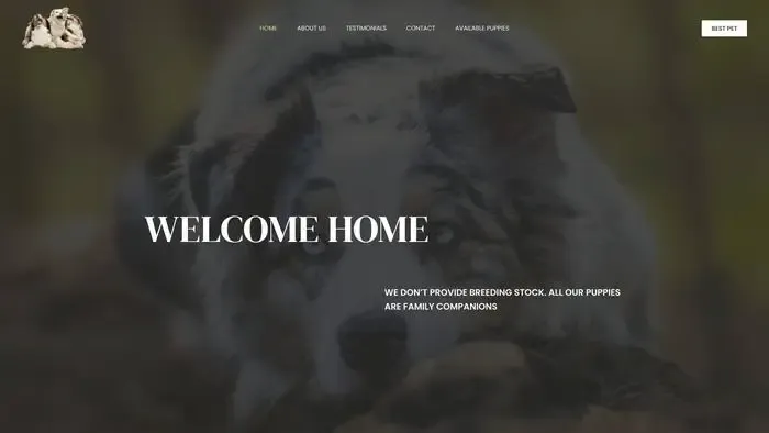 Screenshot of