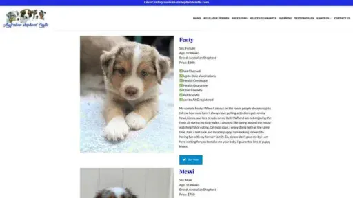 Screenshot of