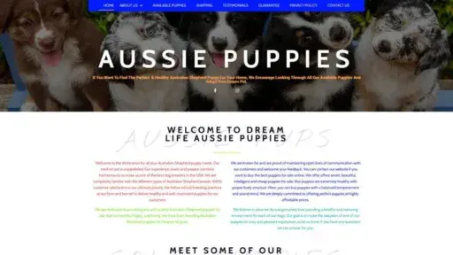 Screenshot of