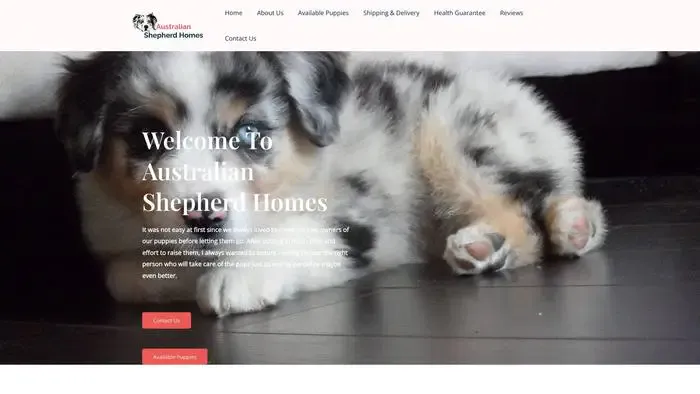 Screenshot of
