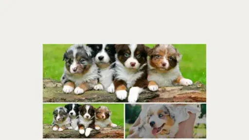 Screenshot of|